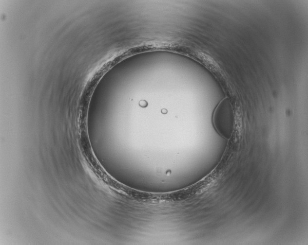 X0000052550730200507291915