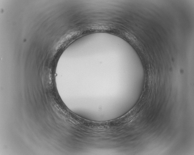 X0000052550731200507291915