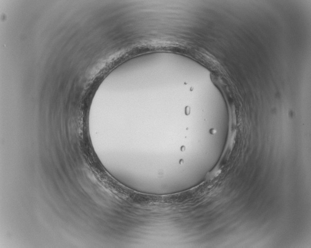 X0000052550732200507291915