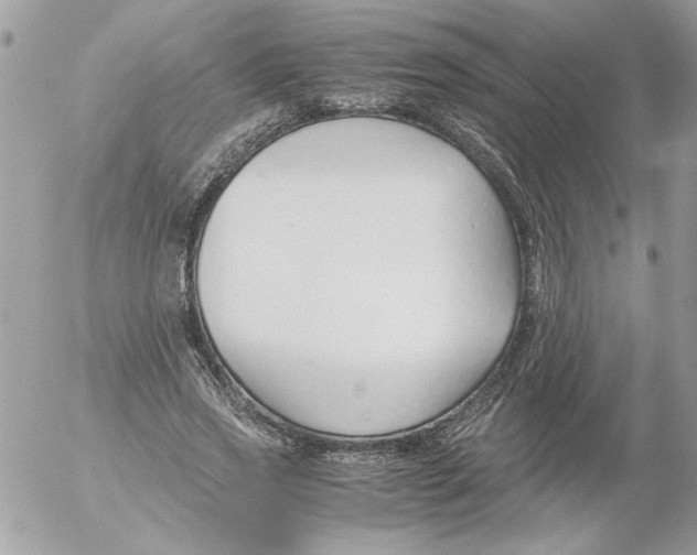 X0000052550733200507291915