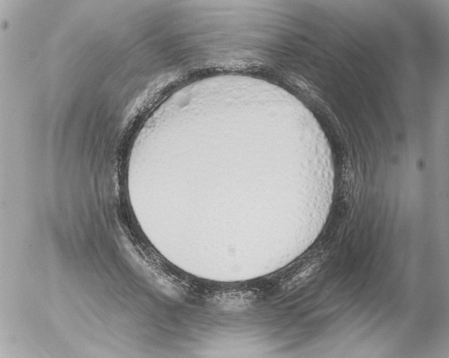 X0000052550734200507291915