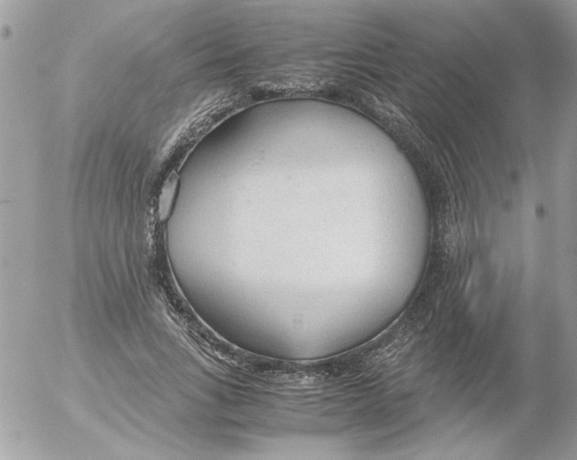 X0000052550735200507291915