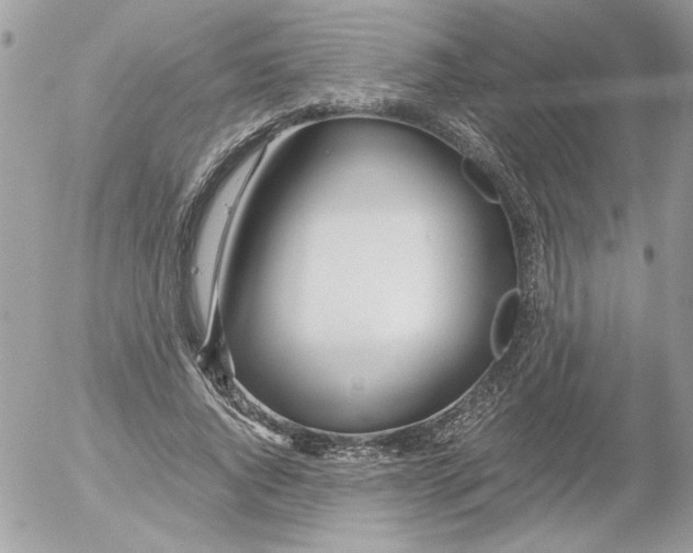 X0000052550736200507291915