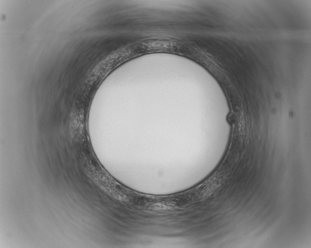 X0000052550737200507291915