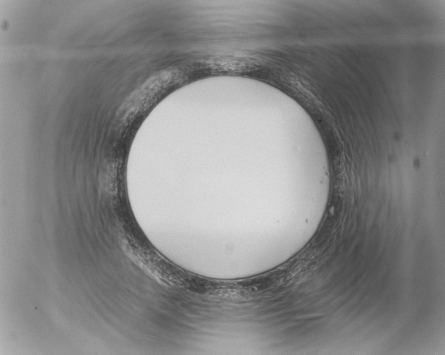 X0000052550738200507291915