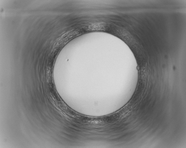 X0000052550741200507291915