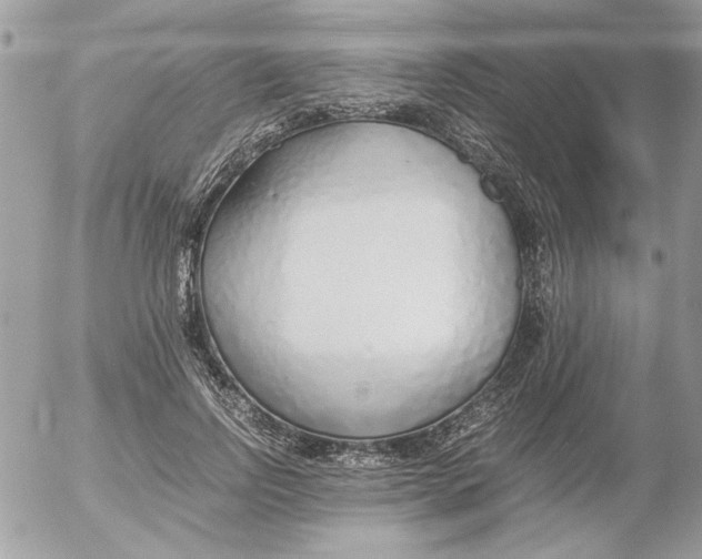 X0000052550742200507291915