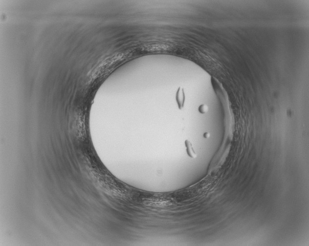 X0000052550743200507291915