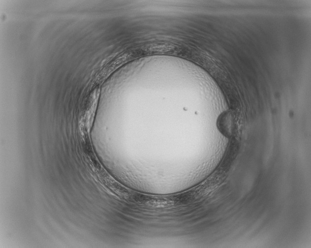 X0000052550745200507291915