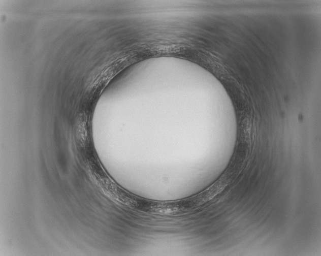 X0000052550746200507291915