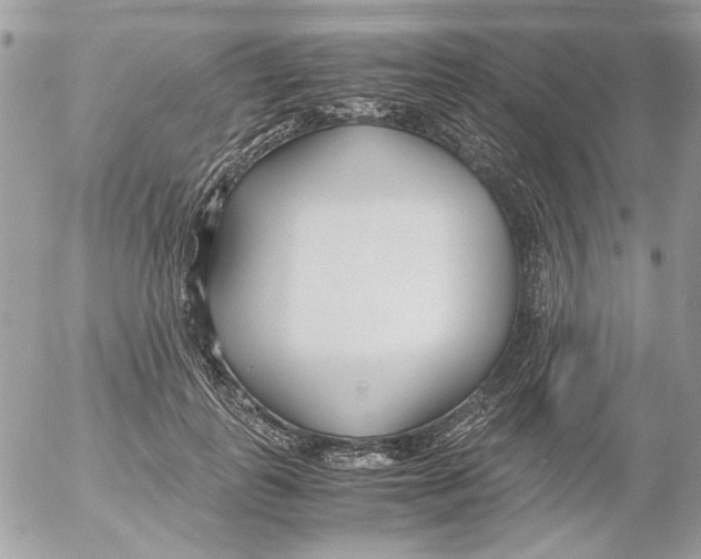 X0000052550747200507291915