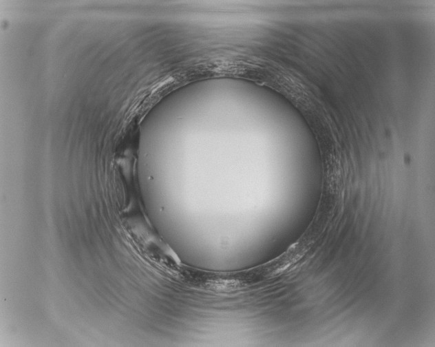 X0000052550748200507291915