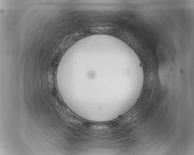 X0000052550749200507291915