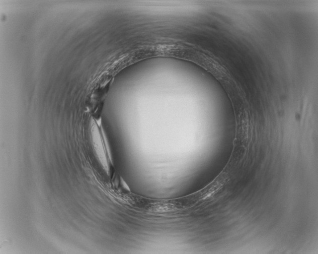 X0000052550750200507291915