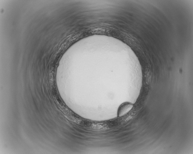 X0000052550753200507291915