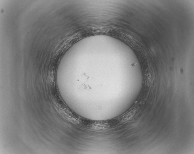 X0000052550756200507291915