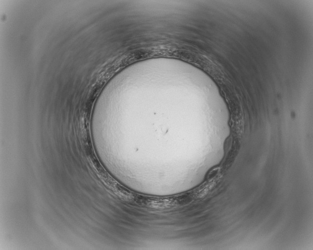 X0000052550757200507291915