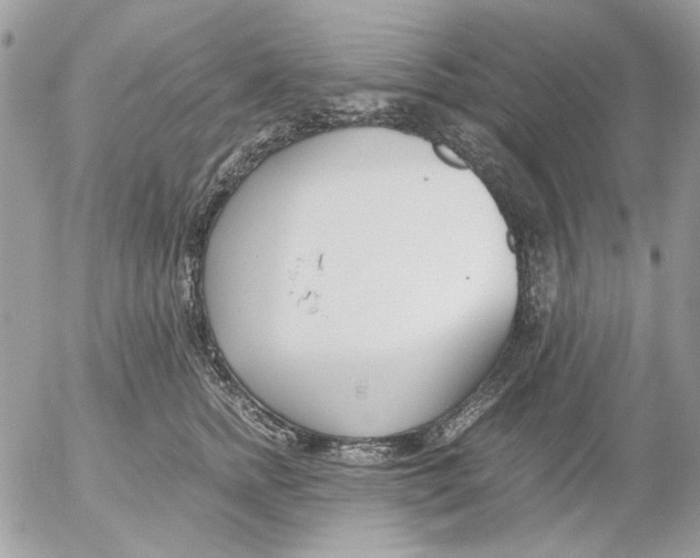 X0000052550758200507291915