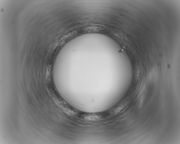 X0000052550759200507291915