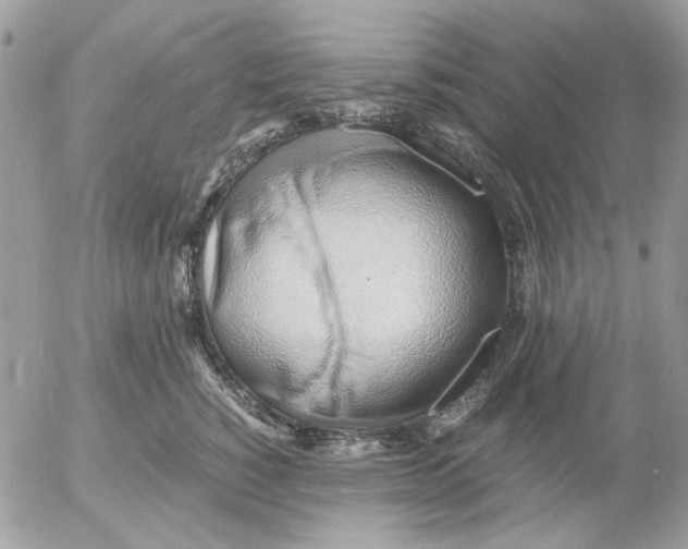 X0000052550760200507291915