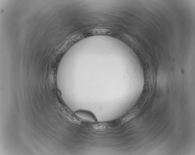 X0000052550761200507291915