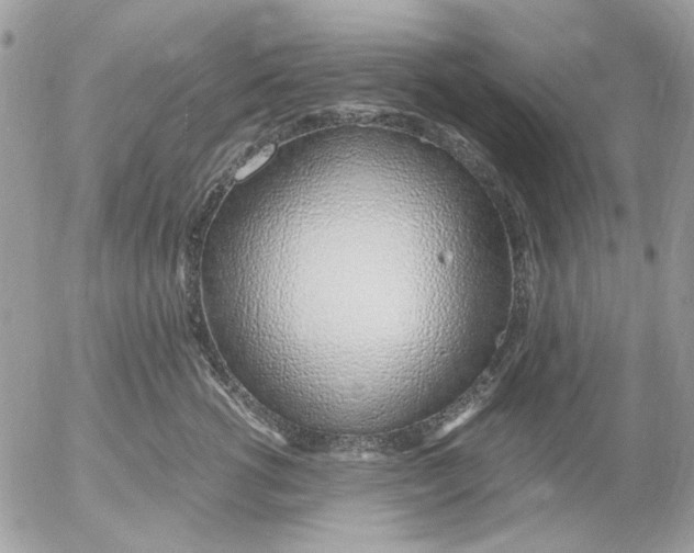 X0000052550762200507291915