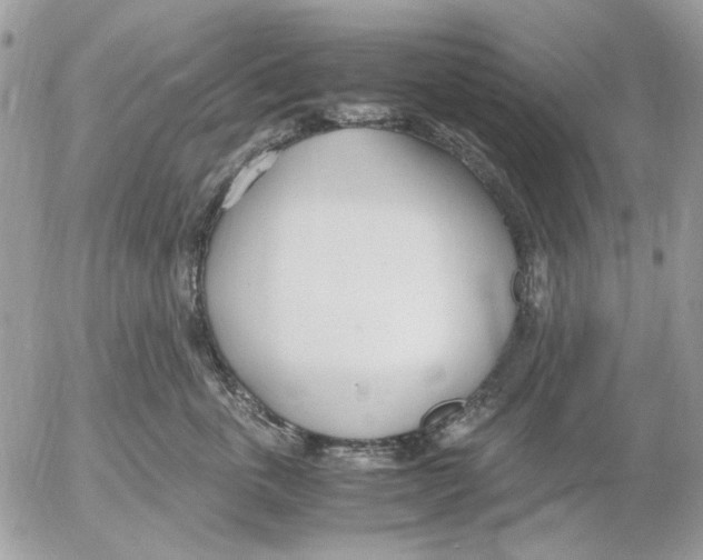 X0000052550763200507291915