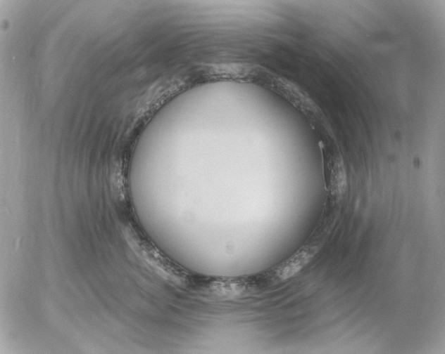 X0000052550764200507291915