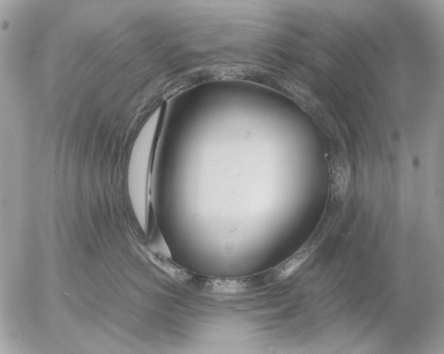 X0000052550766200507291915