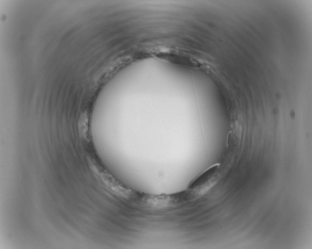 X0000052550767200507291915