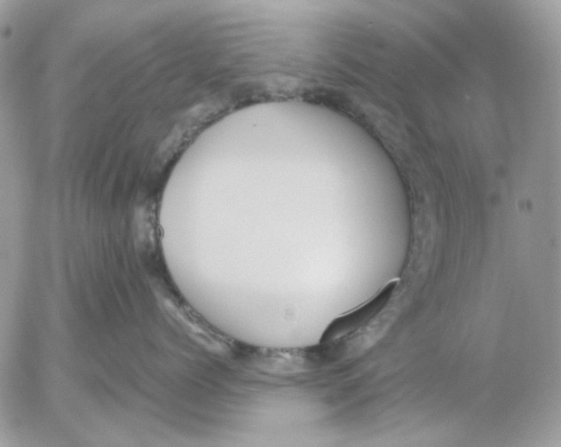 X0000052550768200507291915