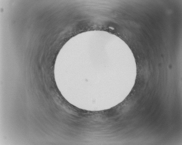 X0000052550769200507291915