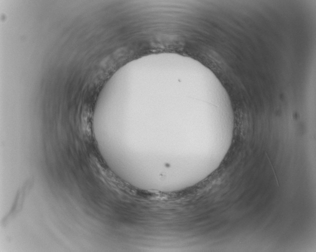 X0000052550770200507291915