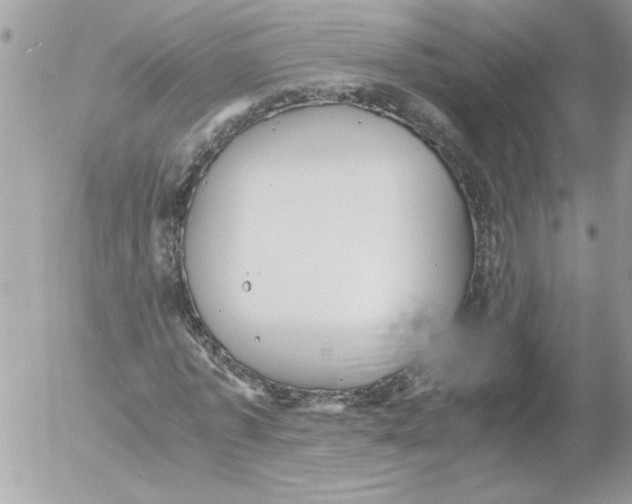 X0000052550773200507291915