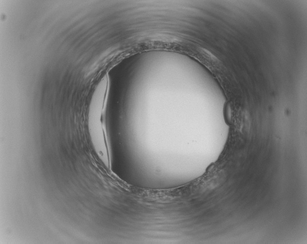 X0000052550774200507291915