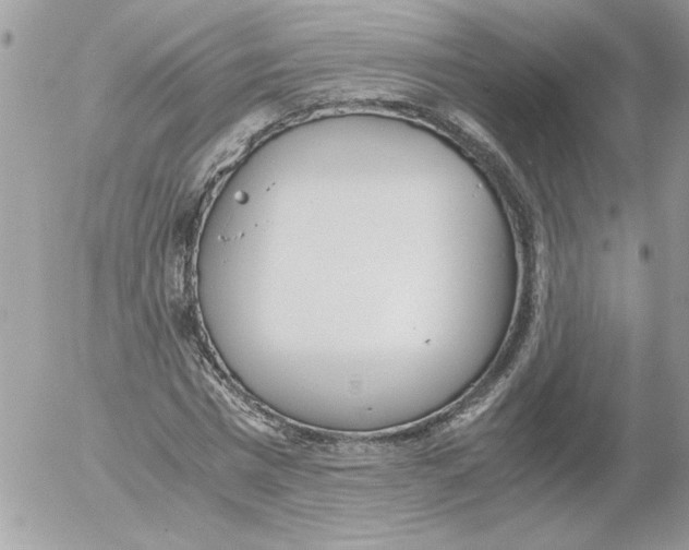 X0000052550777200507291915