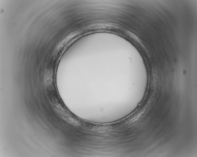 X0000052550778200507291915