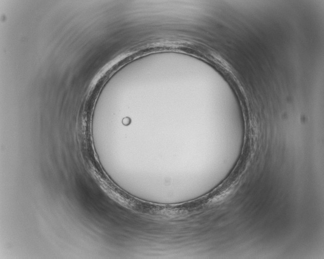 X0000052550779200507291915