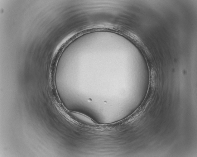 X0000052550780200507291914