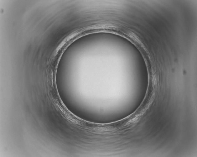 X0000052550781200507291914