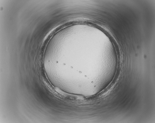 X0000052550783200507291914