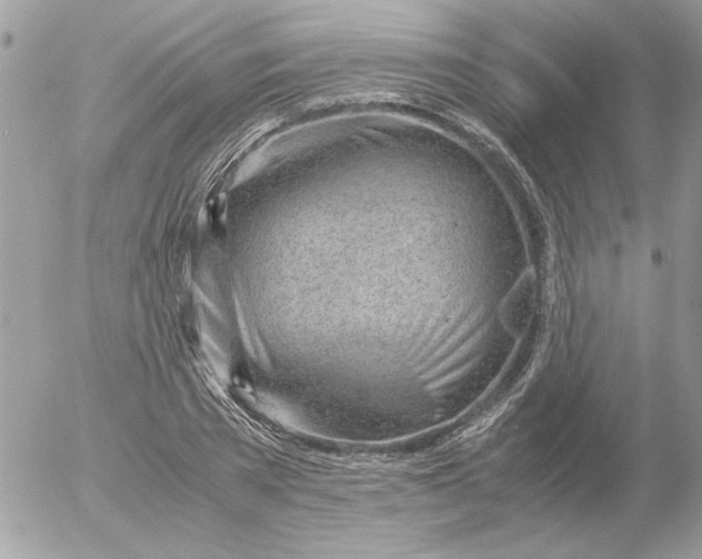 X0000052550785200507291914