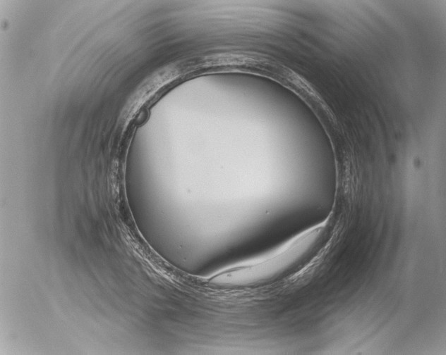 X0000052550786200507291914