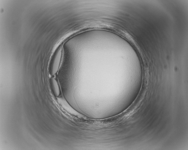 X0000052550787200507291914