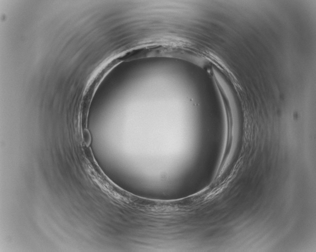 X0000052550788200507291914