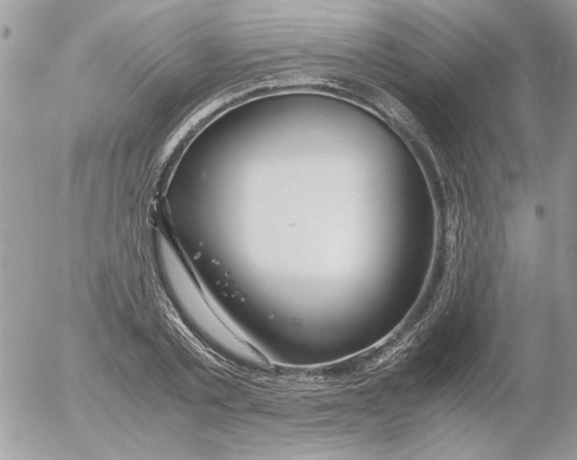 X0000052550789200507291914