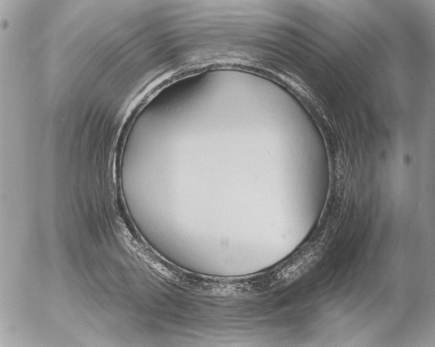 X0000052550790200507291914