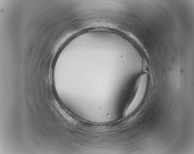 X0000052550791200507291914