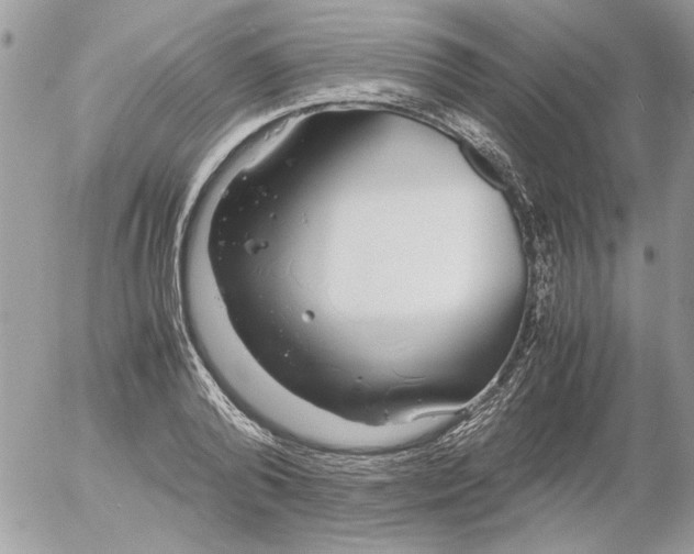 X0000052550792200507291914