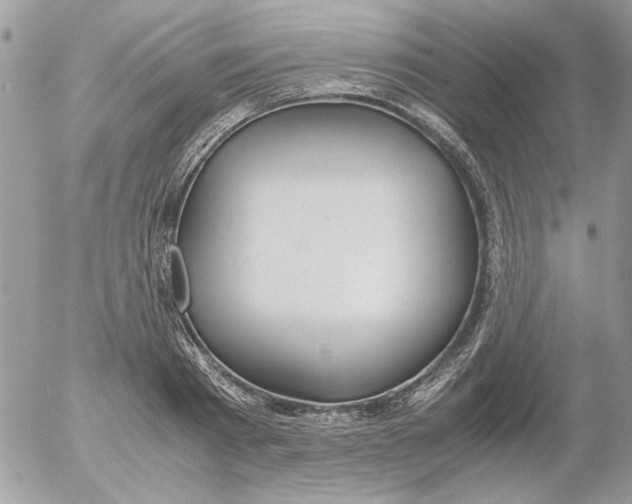 X0000052550793200507291914